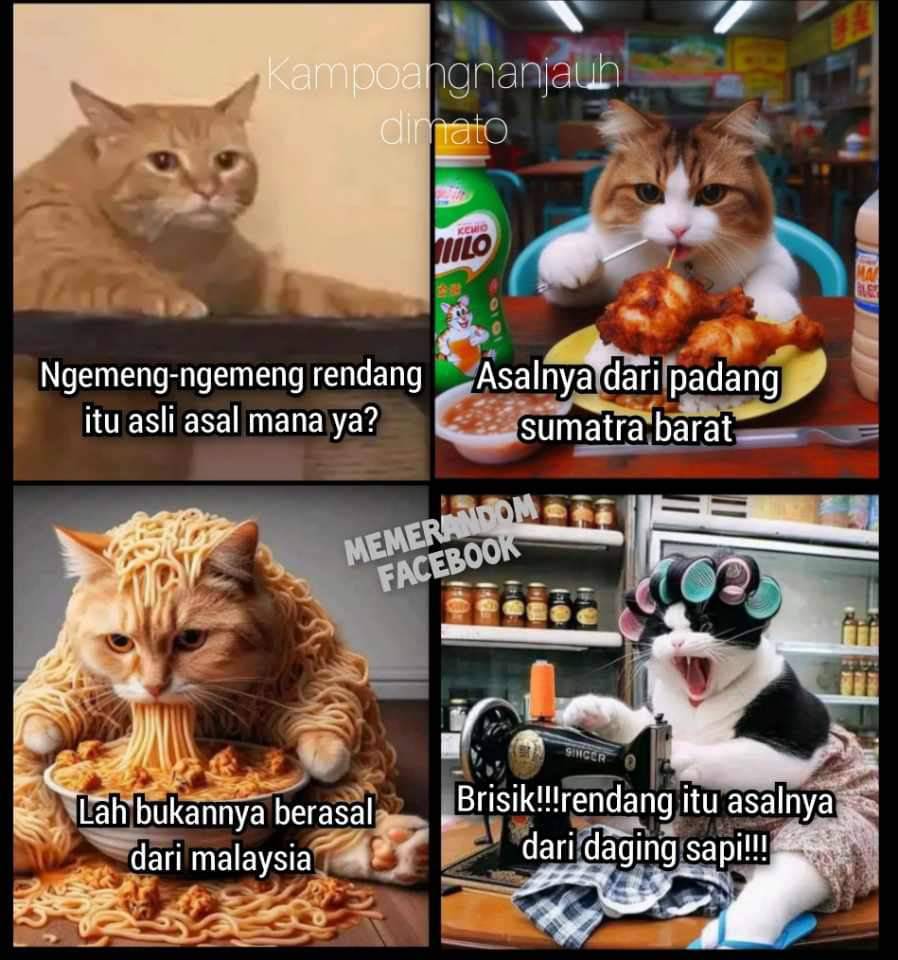 meme-kucing-galak