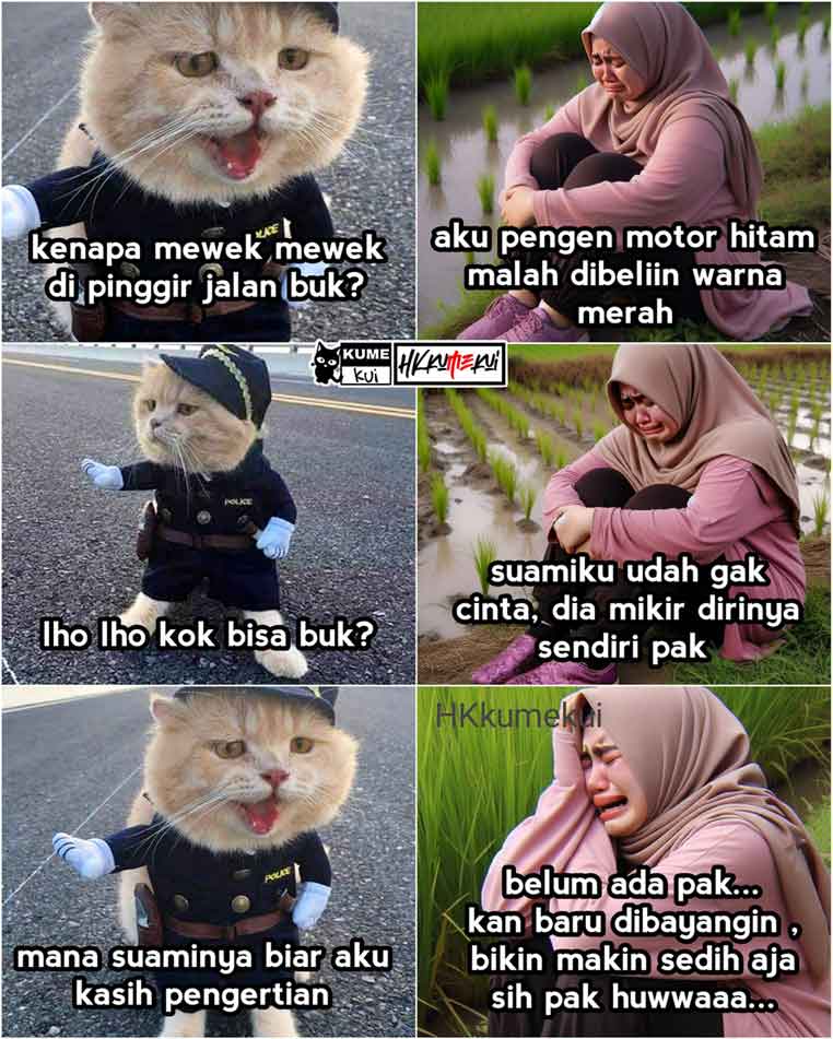 meme-kucing-lucu-banget