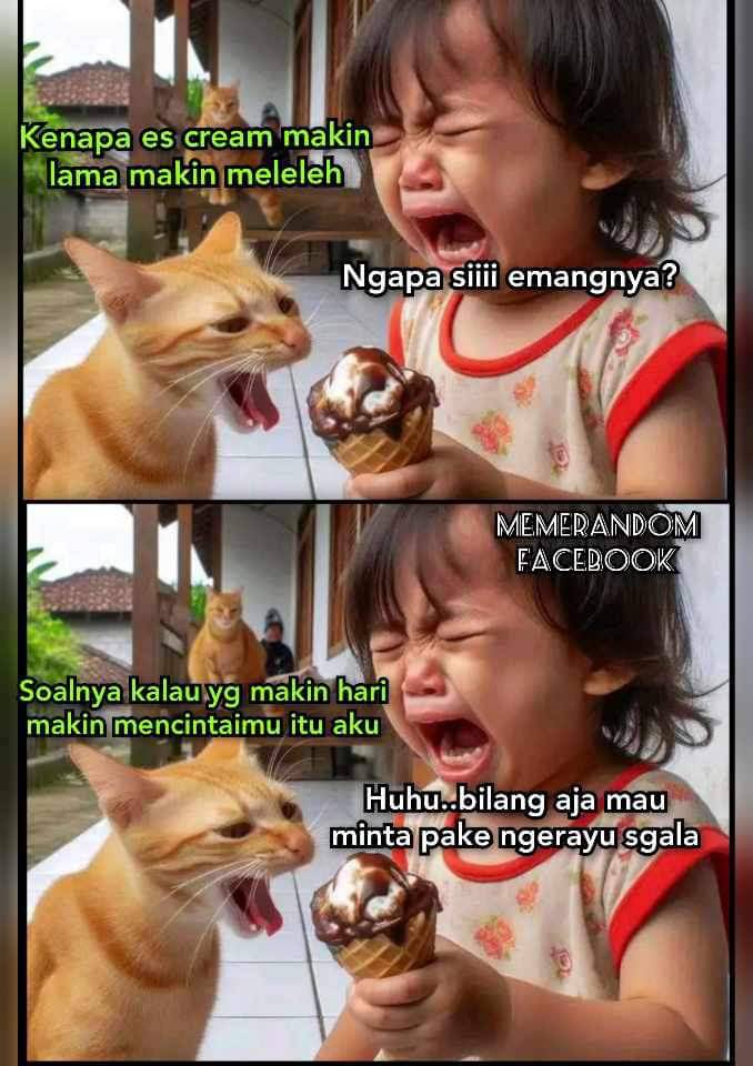 meme-kucing-oren