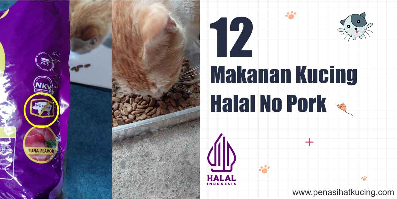 12 Makanan Kucing Halal No Pork yang Lagi Laris di Shopee