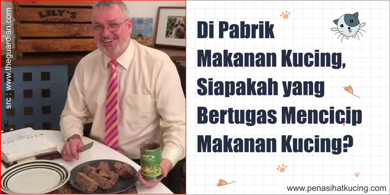 Di Pabrik Makanan Kucing, Adakah Yang Bertugas Mencicipi Makanan Kucing? Manusia atau Kucing?