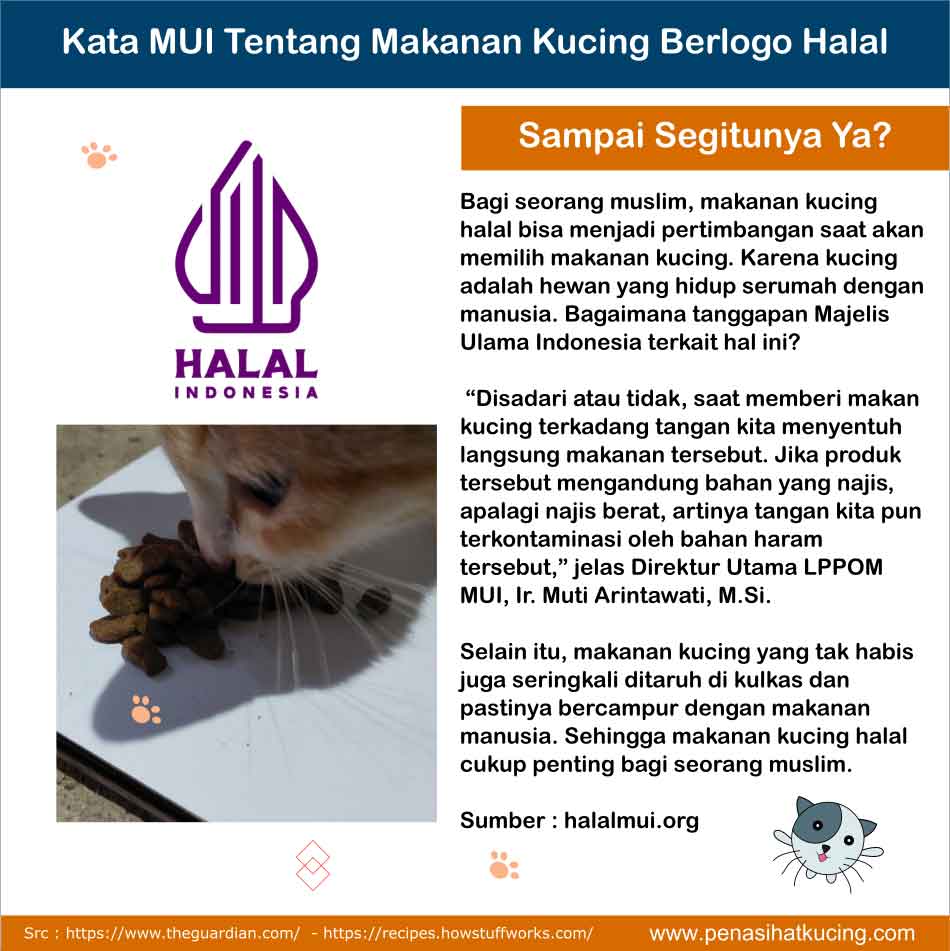 makanan-kucing-halal