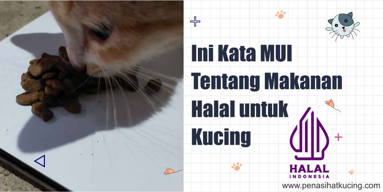 Apa Pendapatmu Tentang Makanan Kucing Halal? Ini Kata MUI