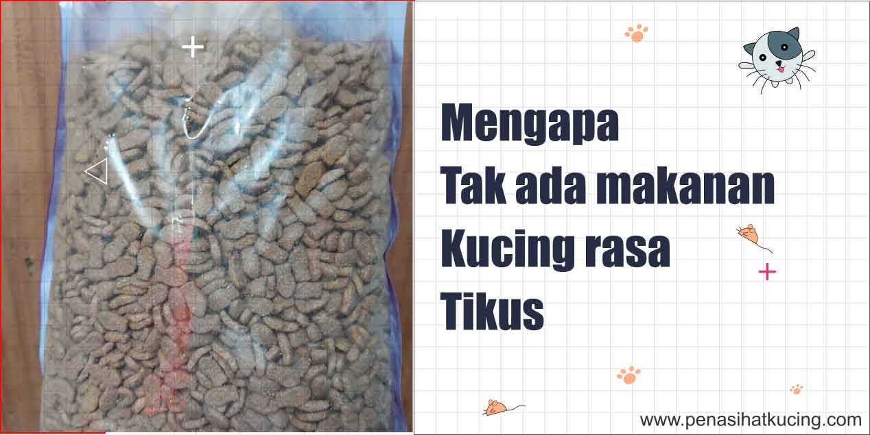 Mengapa Tidak Ada Makanan Kucing Rasa Tikus?