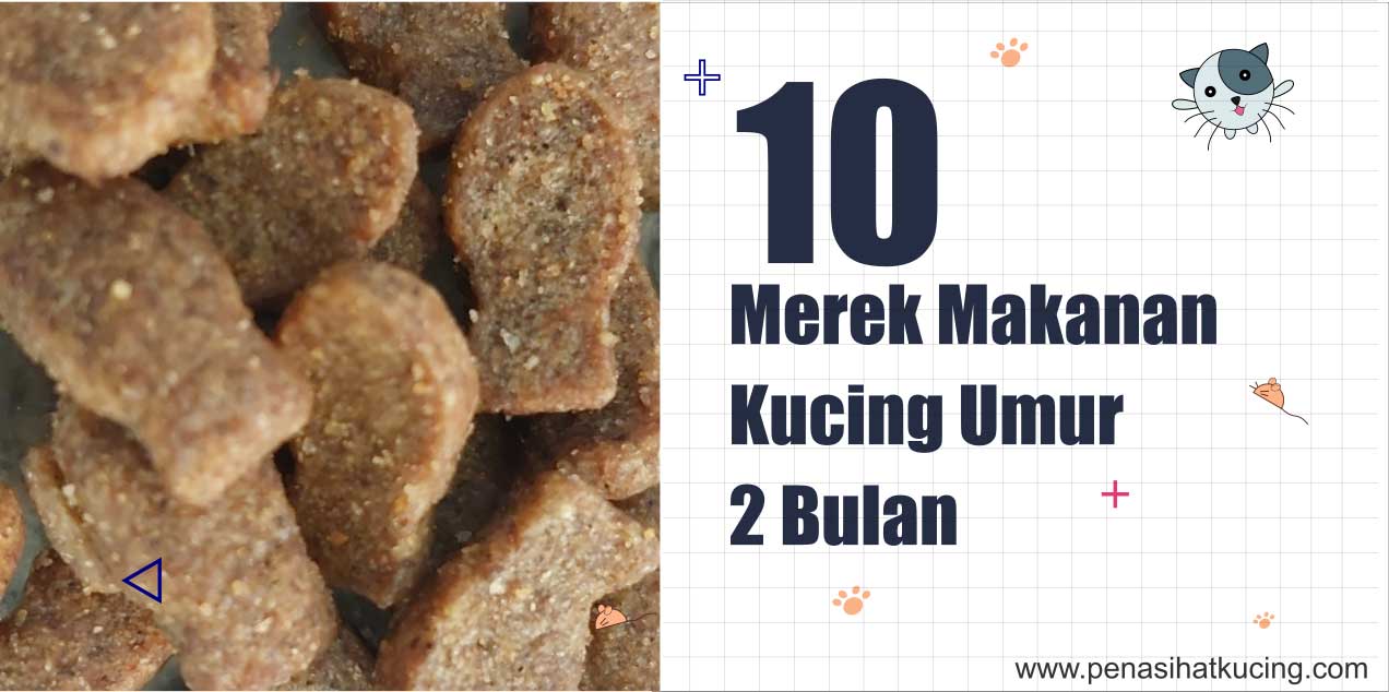 10 Merk Makanan Kucing Umur 2 Bulan yang Lagi Laris di Shopee  