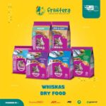 whiskas-kitten-makanan-kucing-umur-2-bulan