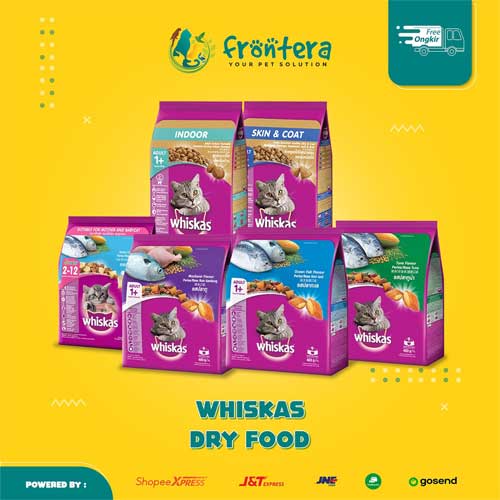 whiskas-kitten-makanan-kucing-umur-2-bulan