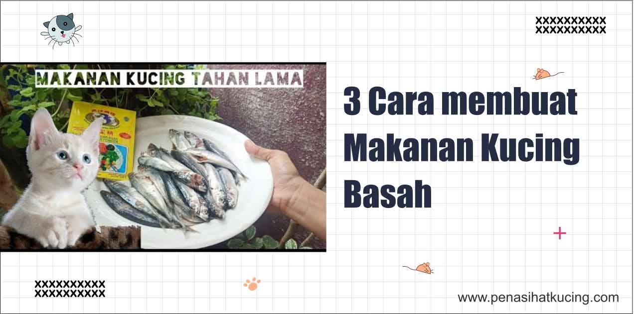 3 Cara Membuat Makanan Kucing Basah Agar Cepat Gemuk dan Bulu Lebat