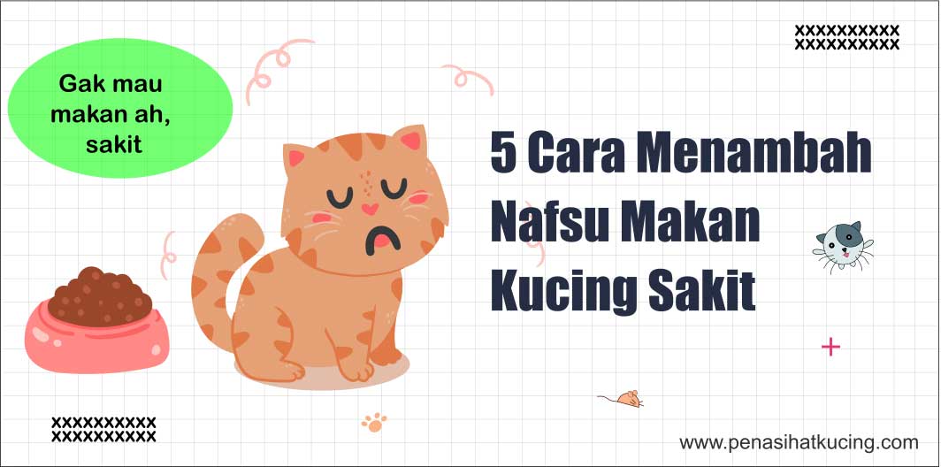 5 Cara Menambah Nafsu Makan Kucing Sakit, Ternyata Mudah