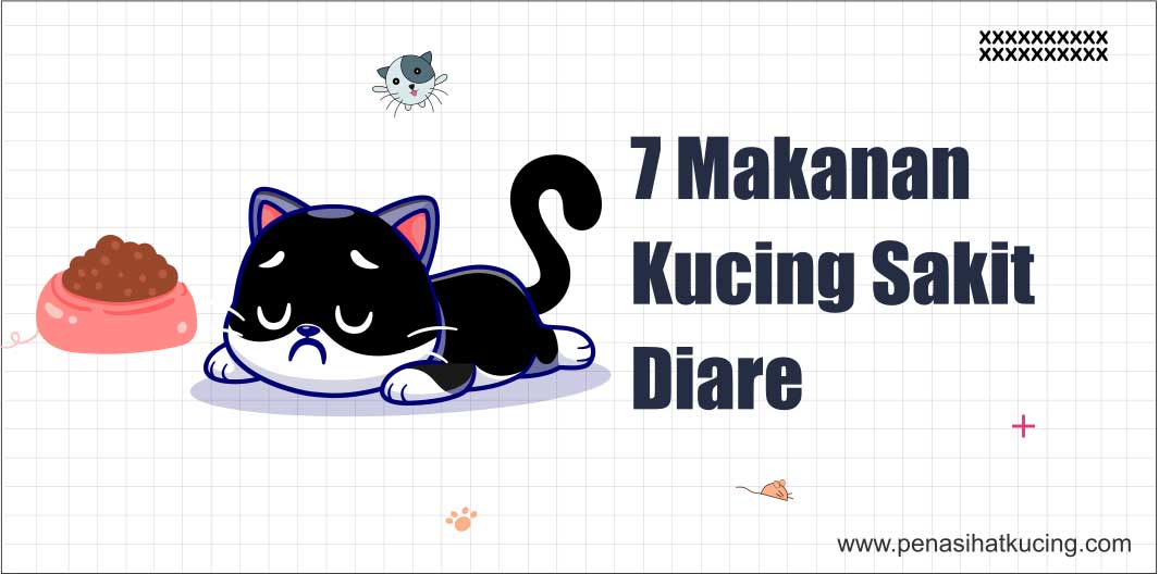 7 Makanan Kucing Sakit Diare, Apa Saja?