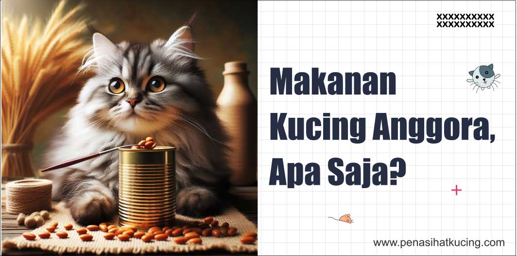 5 Makanan Kucing Anggora, Apa Saja?