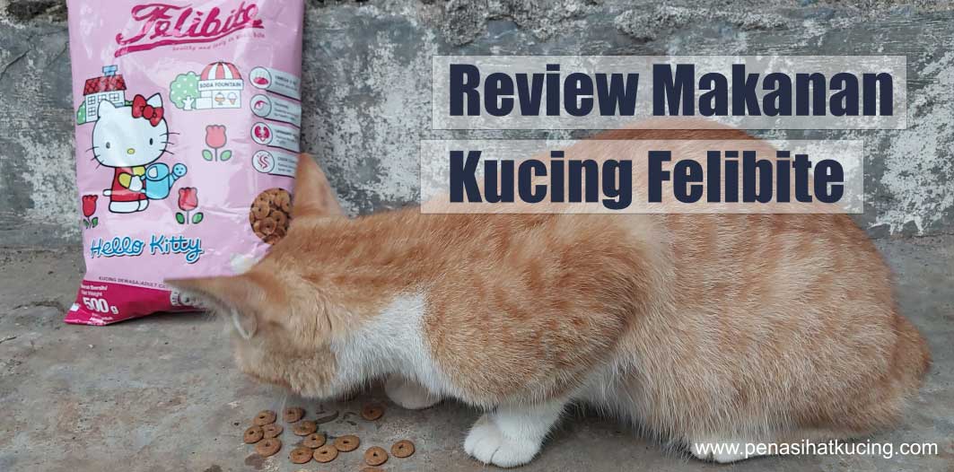 Review Makanan Kucing Felibite Dariku dan Para Pecinta Kucing  