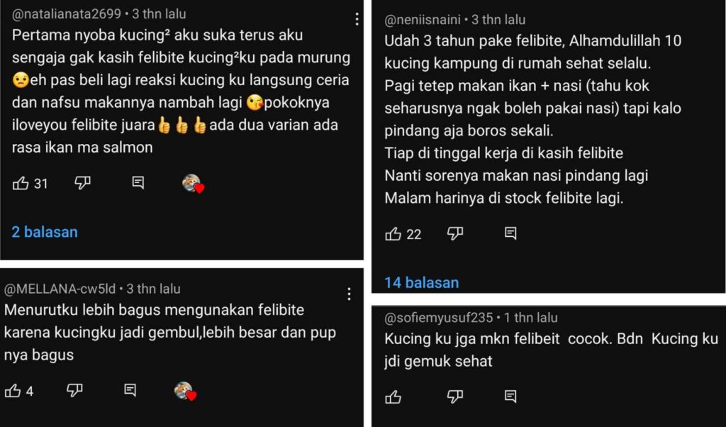 testimoni-makanan-kucing-felibite