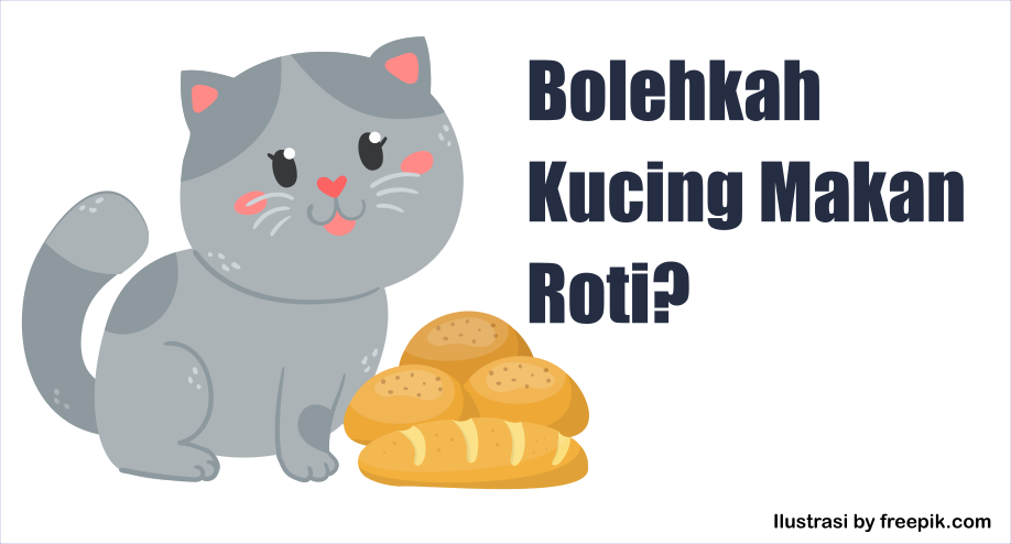 Kucingku Sering Makan Roti, Tapi Bolehkah Kucing Makan Roti?