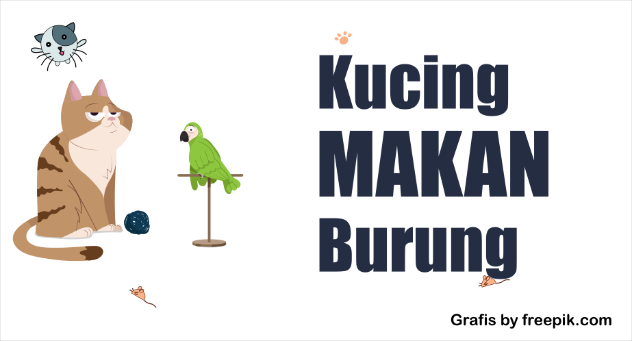 Kucing Makan Burung, Mengapa dan Bagaimana?