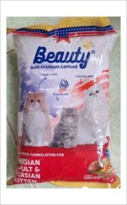 Makanan-Kucing-Maine-Coon-beauty