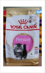 Makanan-Kucing-Maine-Coon-royal-canin-persian