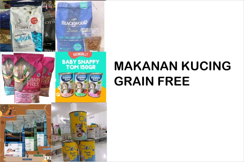 13 Rekomendasi Makanan Kucing Grain Free, Makanan Sehat untuk Kucing 