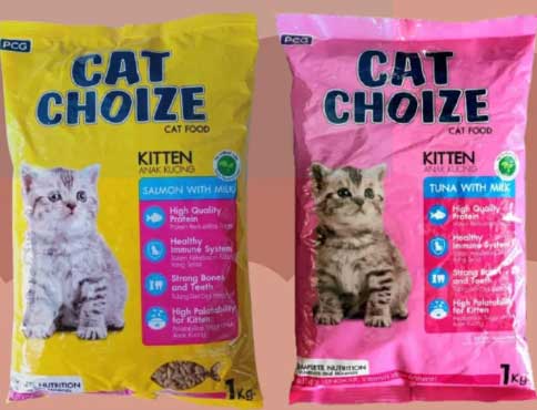 cat-choize-kitten